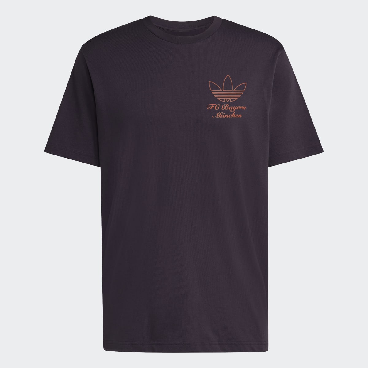 Imagem 0 de T-shirt de Homem FC Bayern Munich 2025-2026 Terrace Icons Graphic Originals