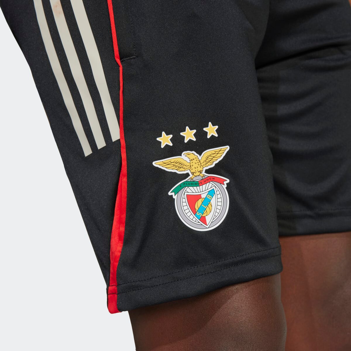 Calções de Treino de Criança SL Benfica 25/26 4