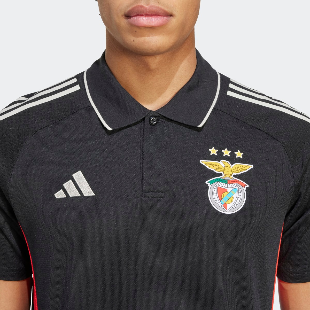 Polo de Homem SL Benfinca 3