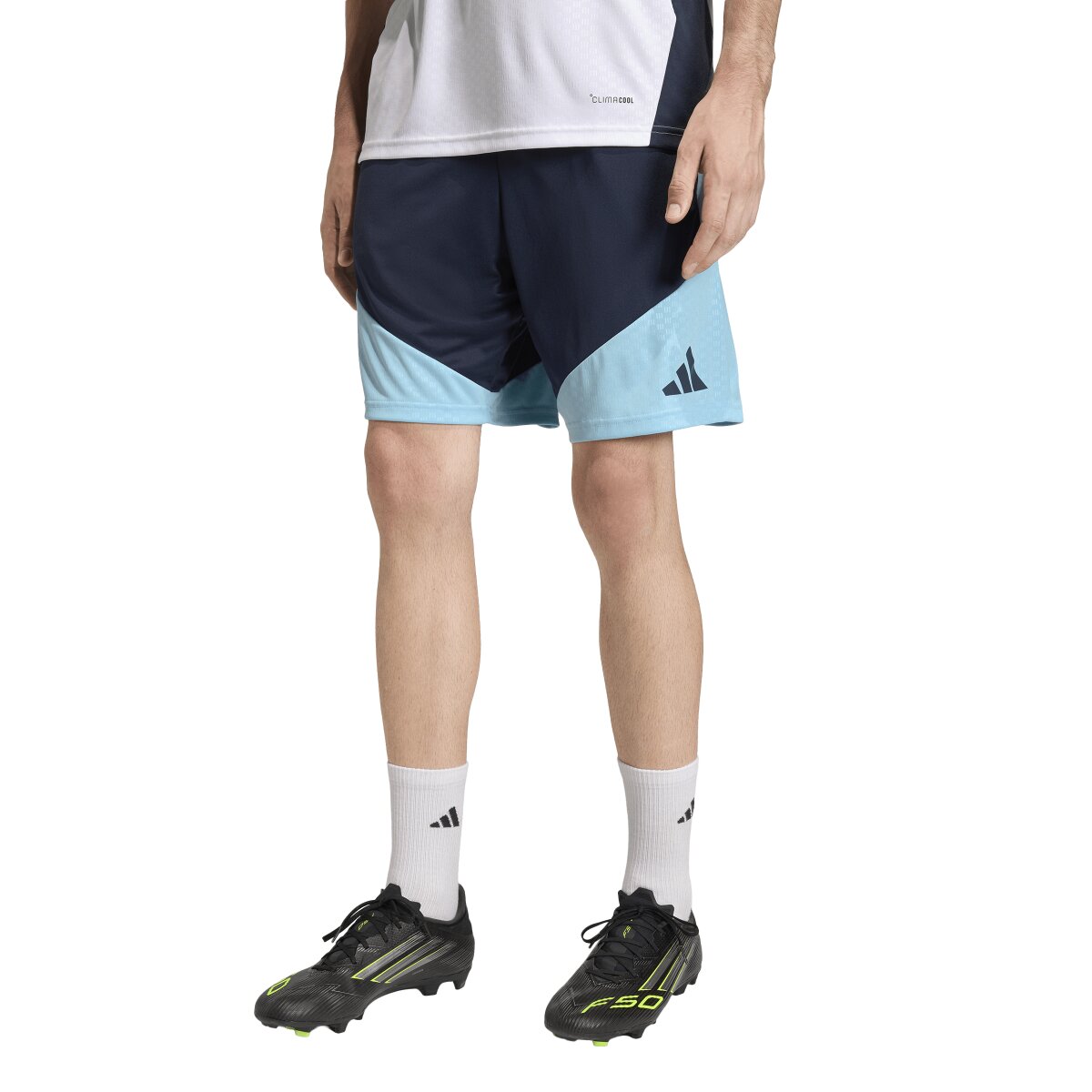 Imagem 0 de Calções de Homem Argentina Mundial 2026 Tiro Treino