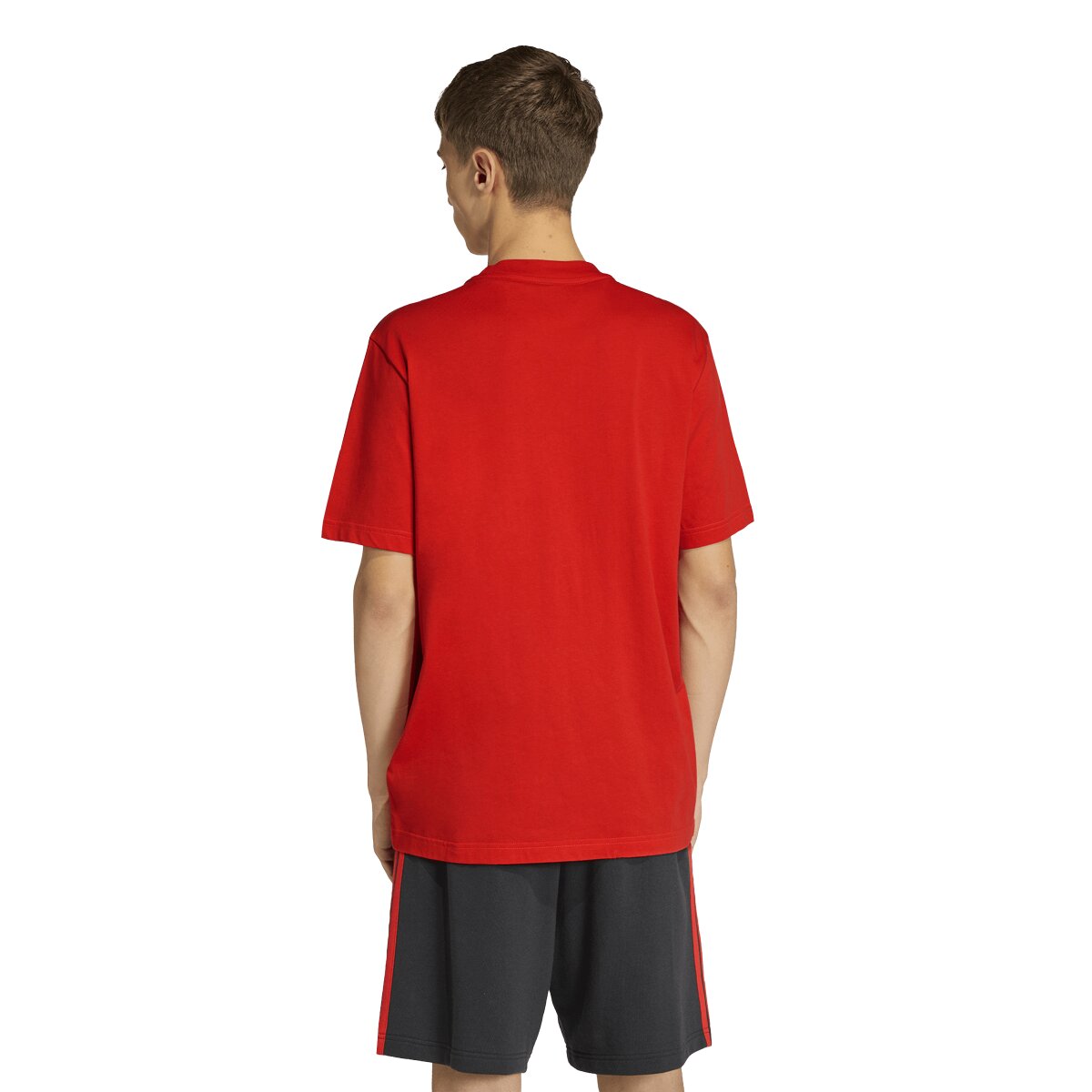 T-shirt de Homem Bélgica Mundial 2026 DNA Vermelho-2