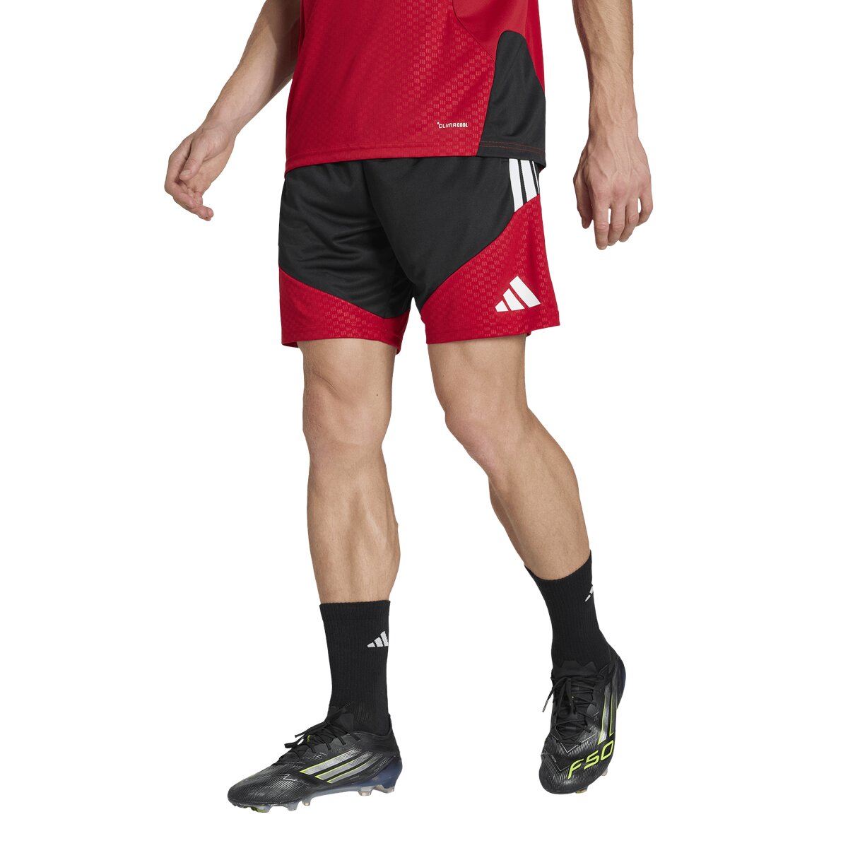 Imagem 0 de Calções de Homem Alemanha Mundial 2026 Tiro Treino