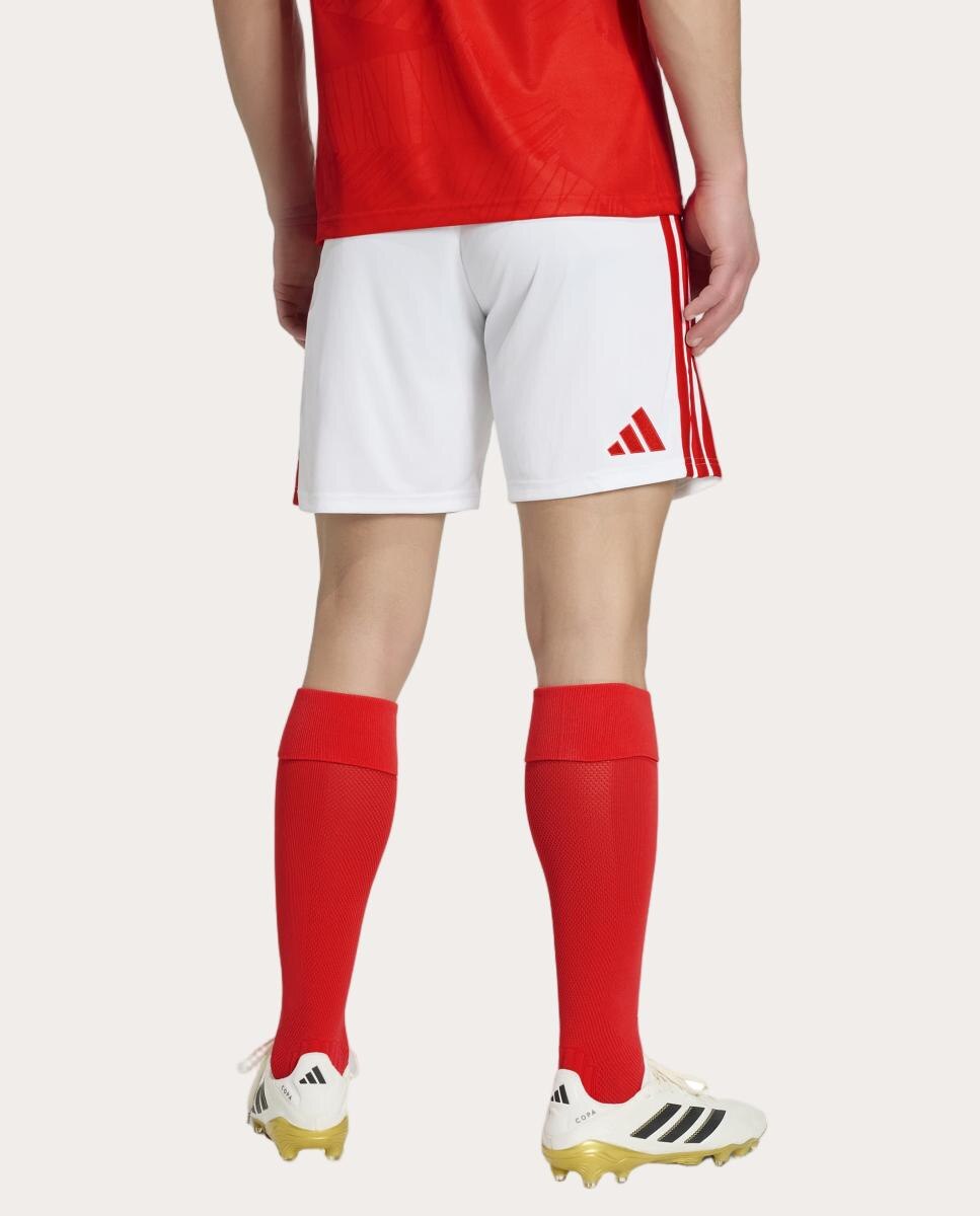 Calções de Treino de Homem Sl Benfica 2026/2027 Branco-2