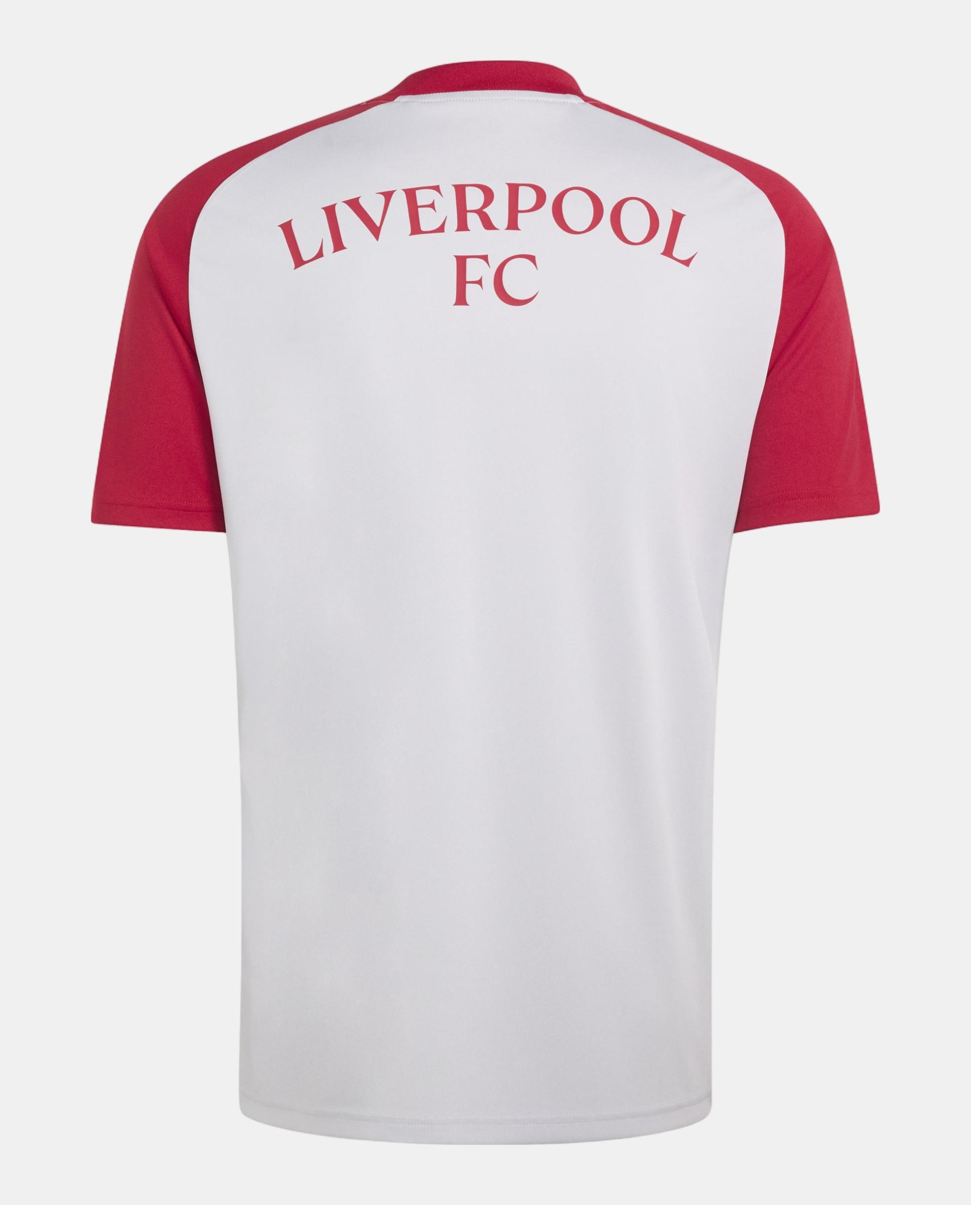 T-Shirt de Homem Prematch Liverpool Fc 2026-2027 Adidas Cinzento-4