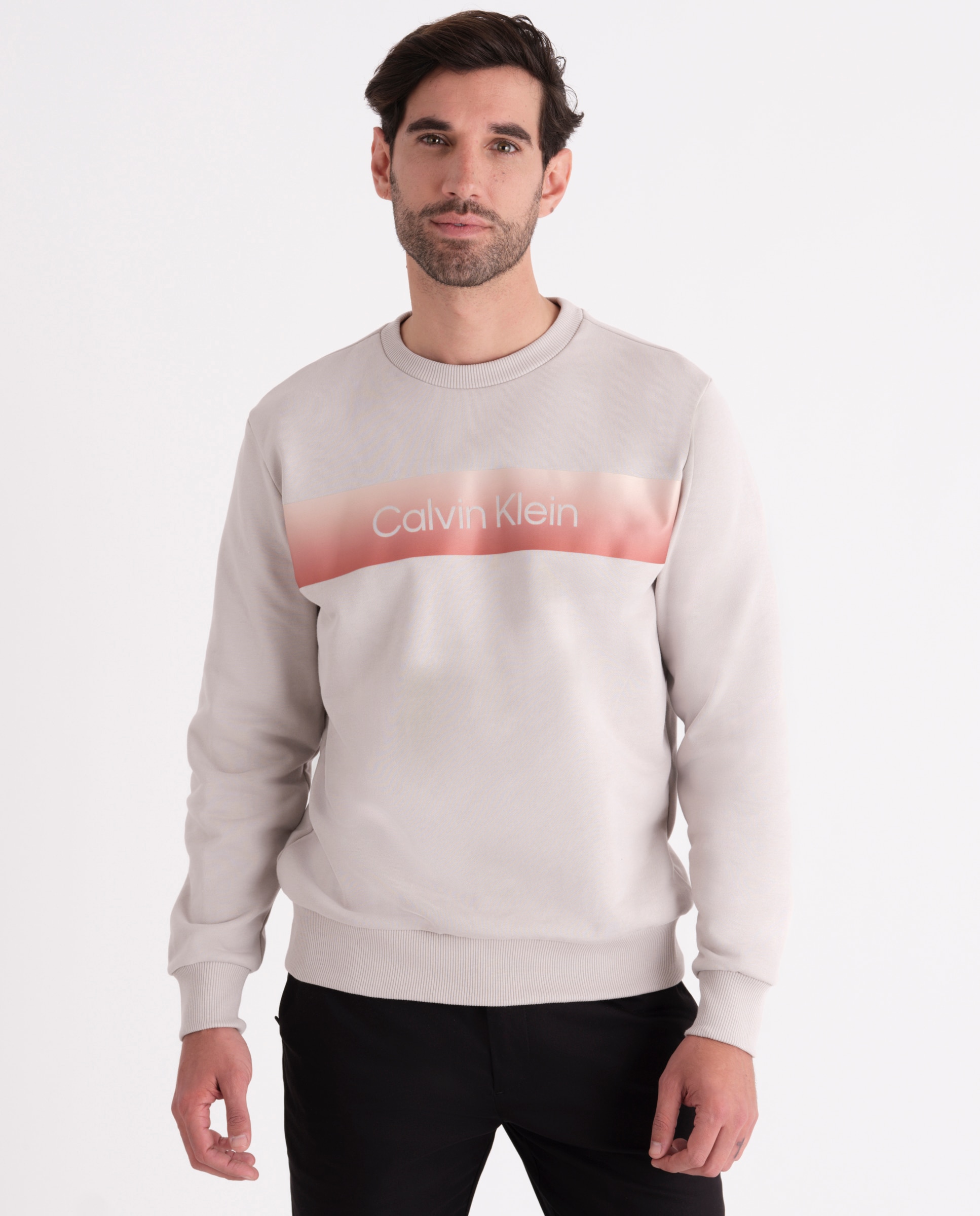 Sweatshirt com Logótipo Linear Cinzento-claro-1