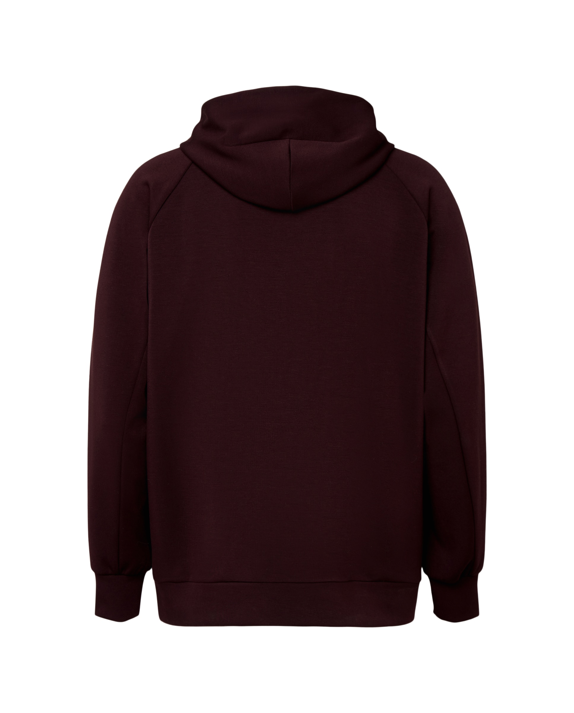 Sweatshirt de Modal com Capuz Sportcasual de Homem Roxo-5