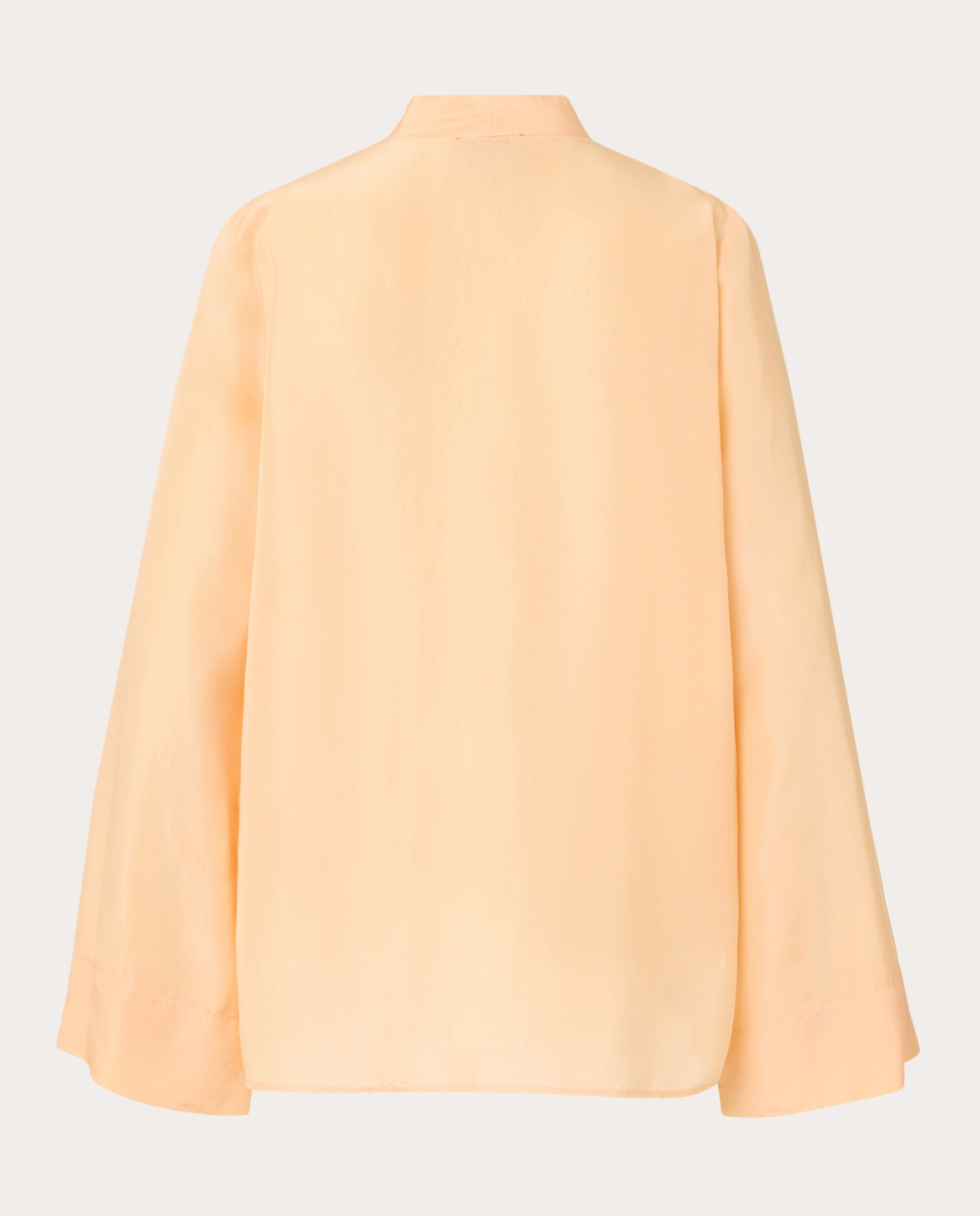 Camisa de seda Natural-2