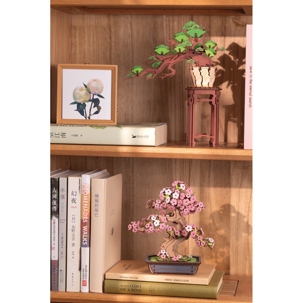 Maquete em Madeira Rolife Evergreen Pine Bonsai 4