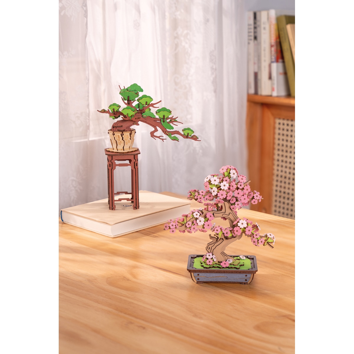 Maquete em Madeira Rolife Evergreen Pine Bonsai 5