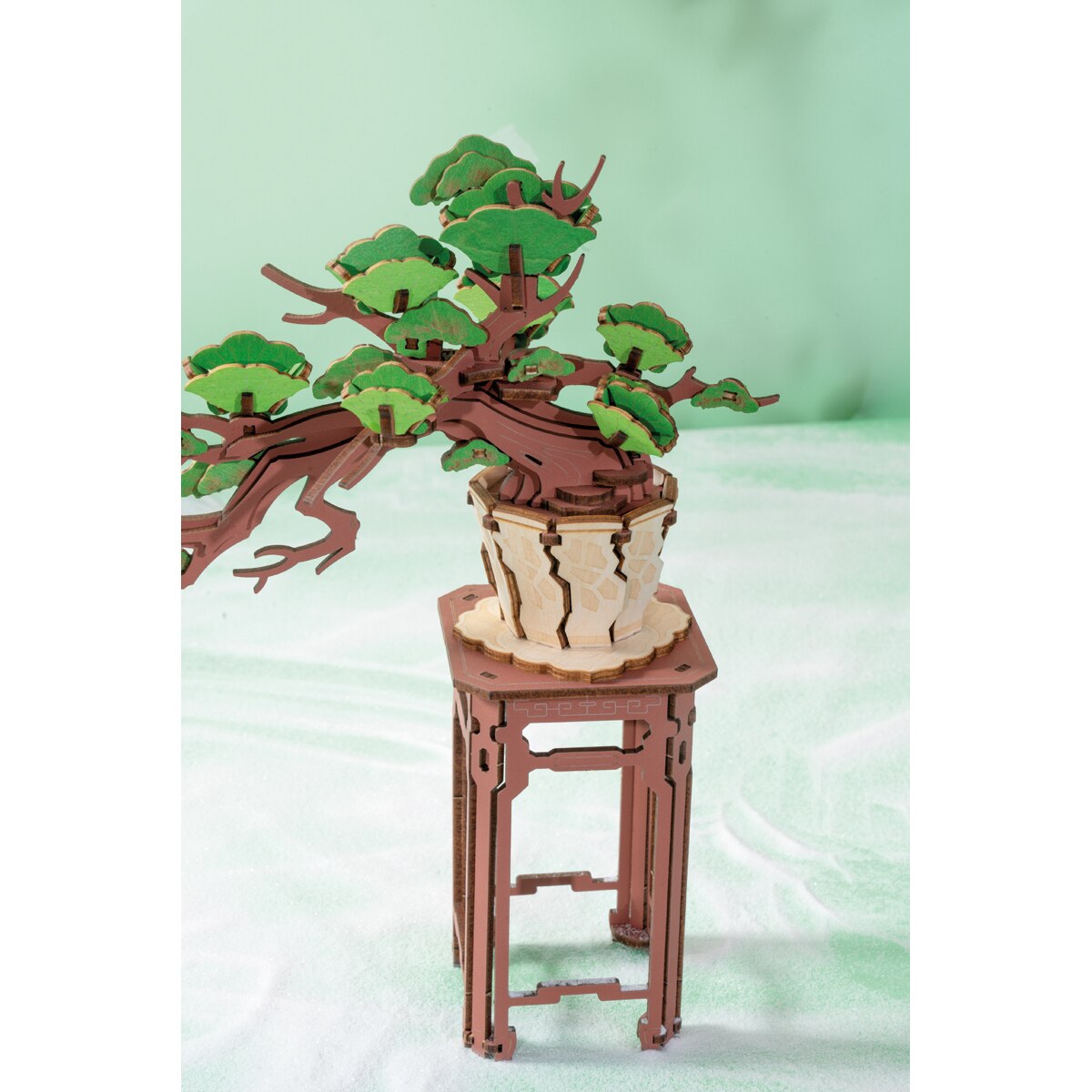 Maquete em Madeira Rolife Evergreen Pine Bonsai 7