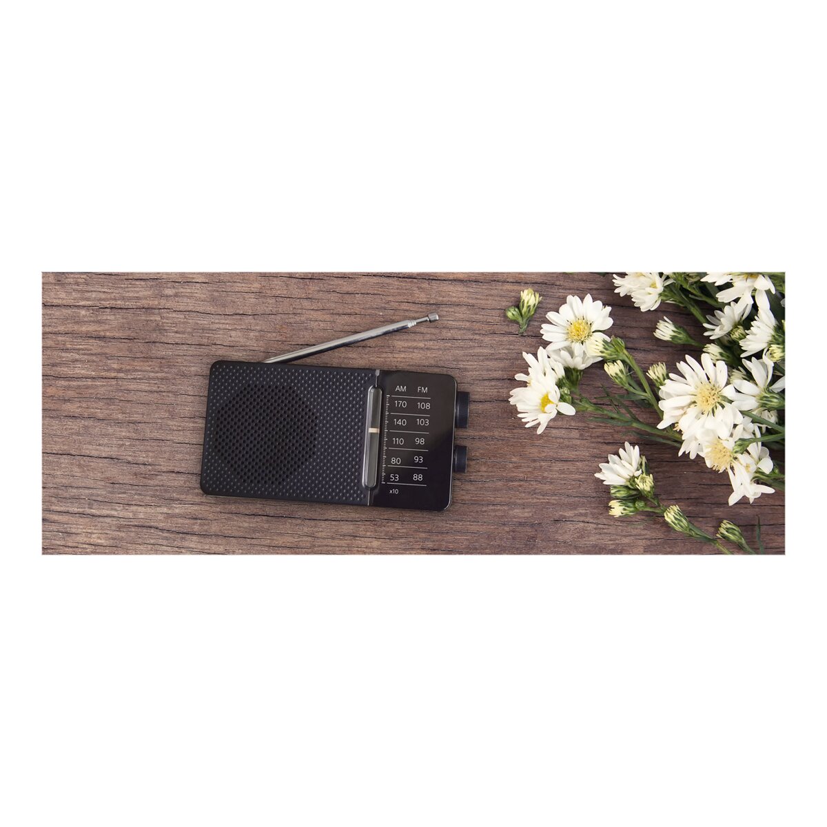 Rádio de Bolso Sangean SR-36 AM/FM - Preto Preto-4