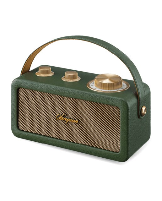Radio portátil Sangean SRA101FG FM, Bluetooth Verde / Dorado-2