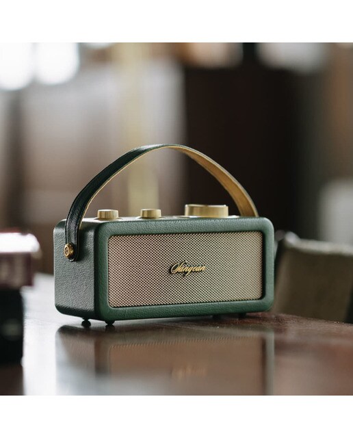 Radio portátil Sangean SRA101FG FM, Bluetooth Verde / Dorado-4