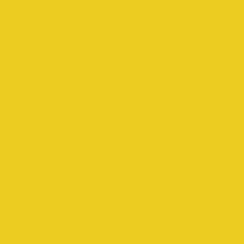 Blanco / Amarillo