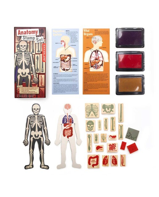 Imagem 0 de Jogo Carimbos Anatomia Humana