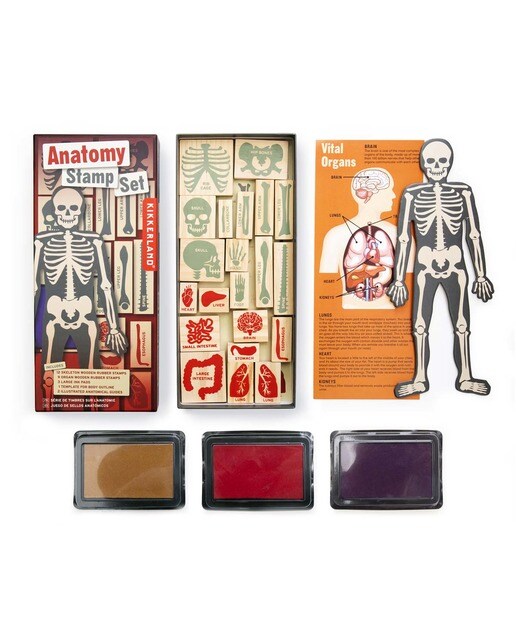 Jogo Carimbos Anatomia Humana 2