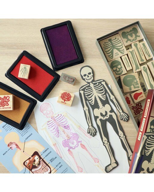 Jogo Carimbos Anatomia Humana 3