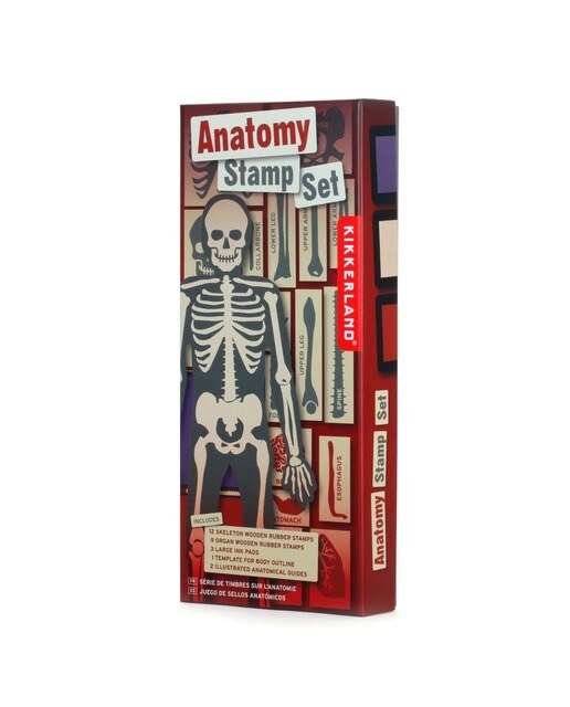 Jogo Carimbos Anatomia Humana 4