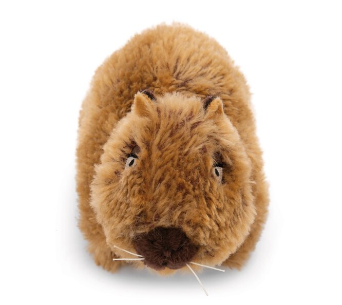 Peluche NICI capivara 17 cm 3