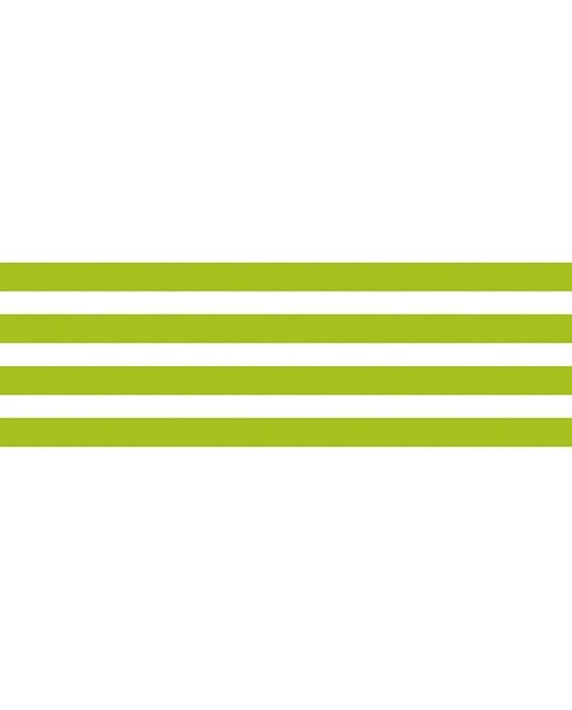 Imagen 3 de Masking tape MT border kiwi