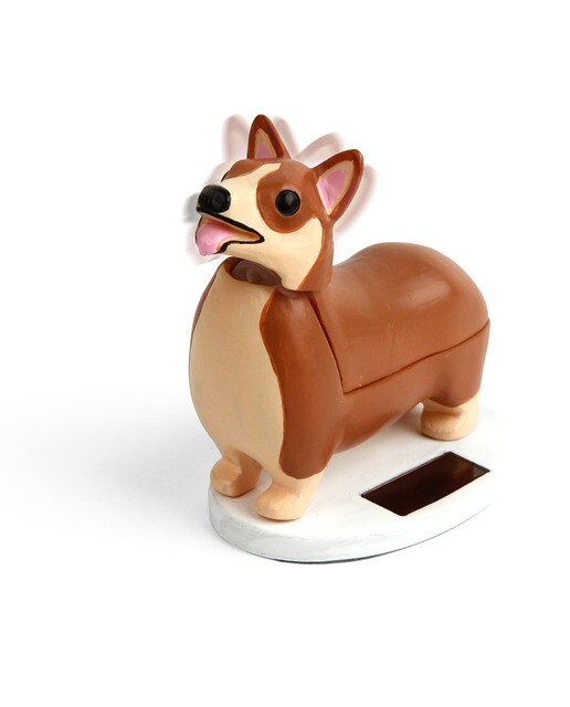 Cão Solar 1