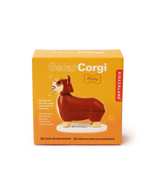 Cão Solar 2