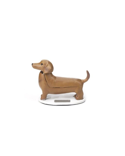 Cão Salsicha Solar 1