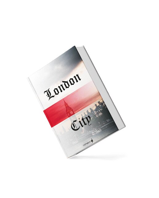 Livro Falso Decorativo Montável que Simula Livros de Verdade Anhui Mohan Sport Goods CO, LTD Cidades do Mundo 3