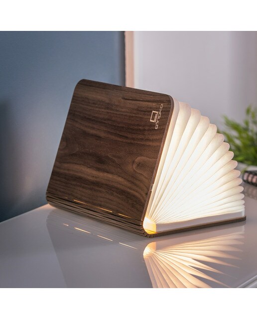 Luz de Livro Inteligente Desing em Faia 3