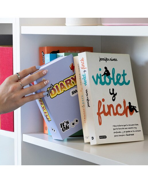Livro seguro Fisura secret diary 5