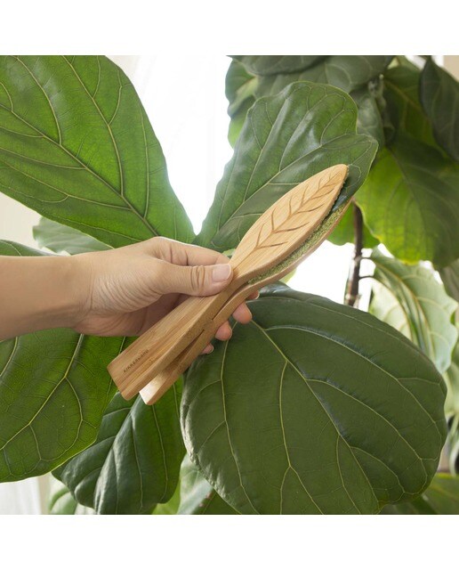 Pinças para Limpar Folhas 3