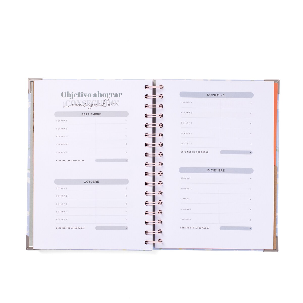 Agenda escolar 2025-2026 semanal Mr Wonderful: Érase una vez... ¡mi vida! 9