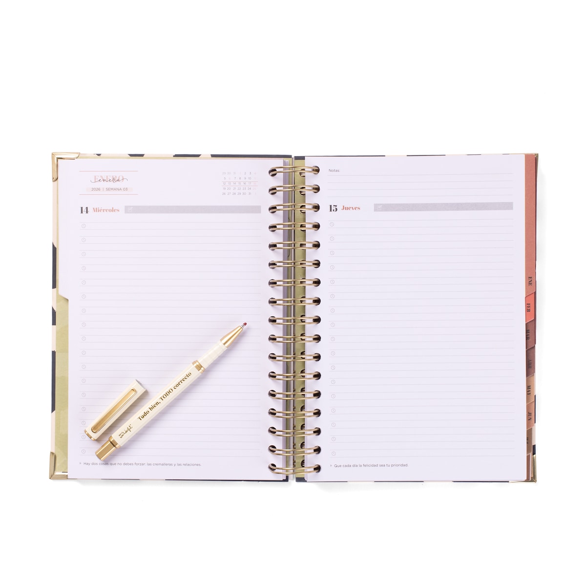 Set de agenda escolar + boli 2025-2026 diaria Mr Wonderful: Todo bien, todo correcto. 5