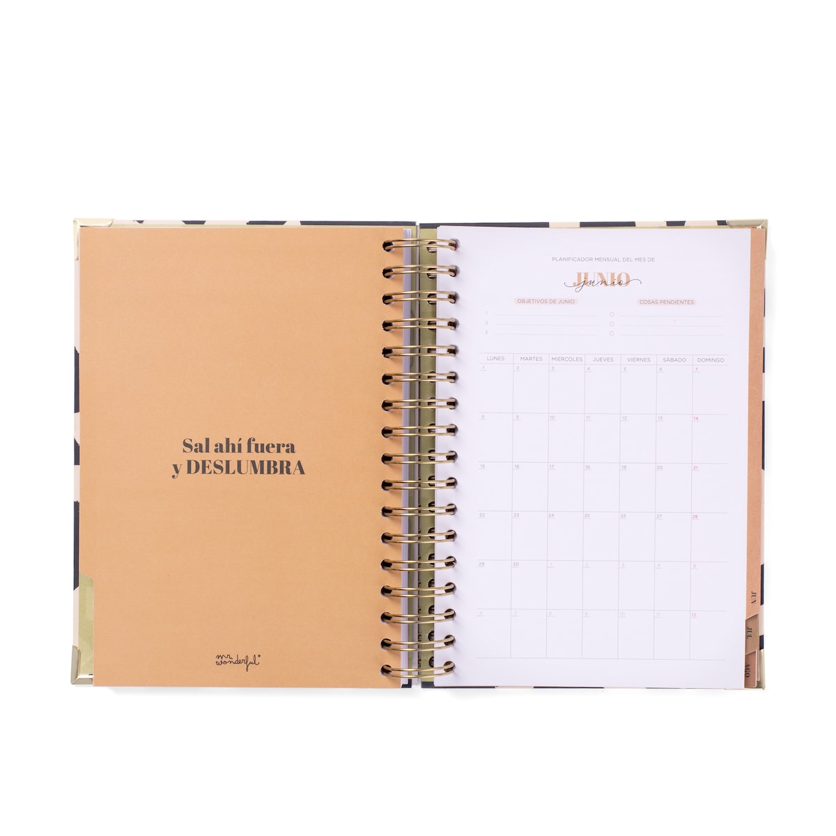 Set de agenda escolar + boli 2025-2026 diaria Mr Wonderful: Todo bien, todo correcto. 7