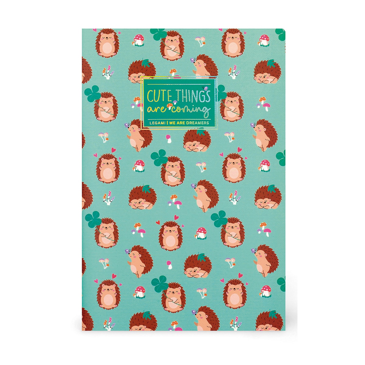 Caderno espiral B5 Legami Hedgehog 1