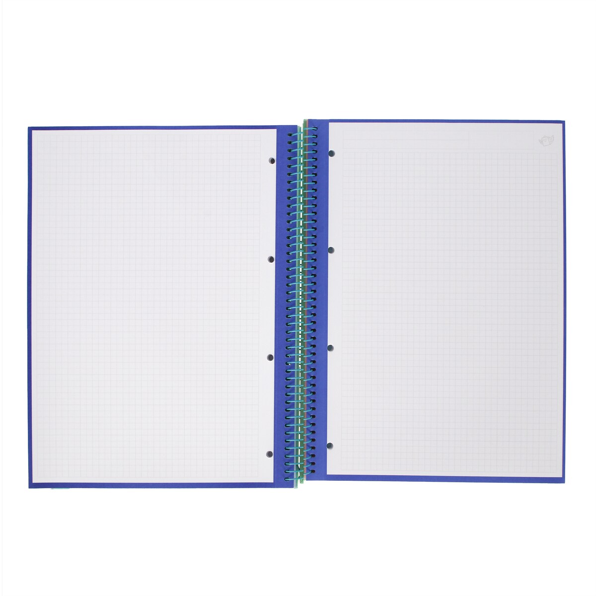 Libreta A4 verde espiral Mr Wonderful: WINGY 9