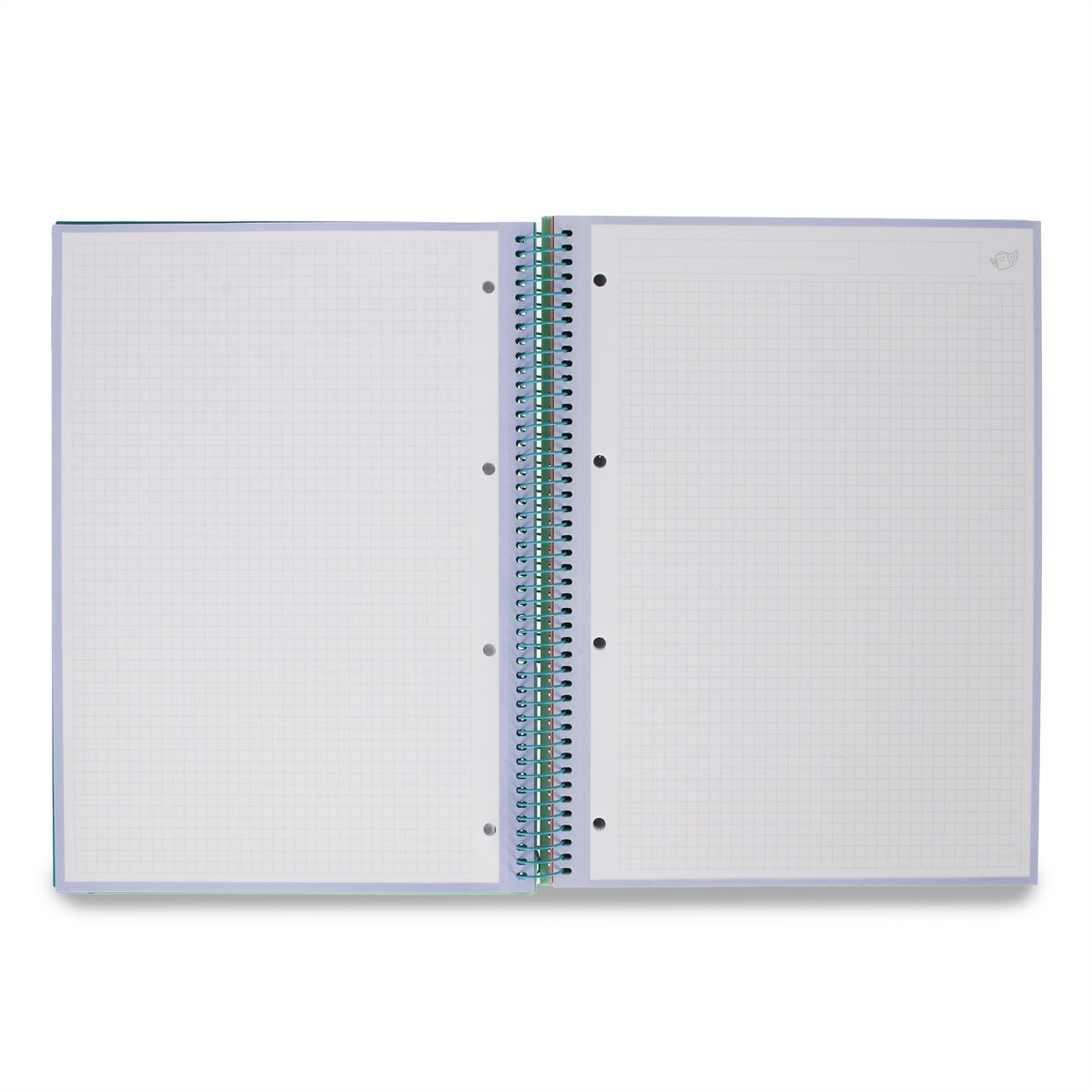 Libreta A4 verde espiral Mr Wonderful: WINGY 11