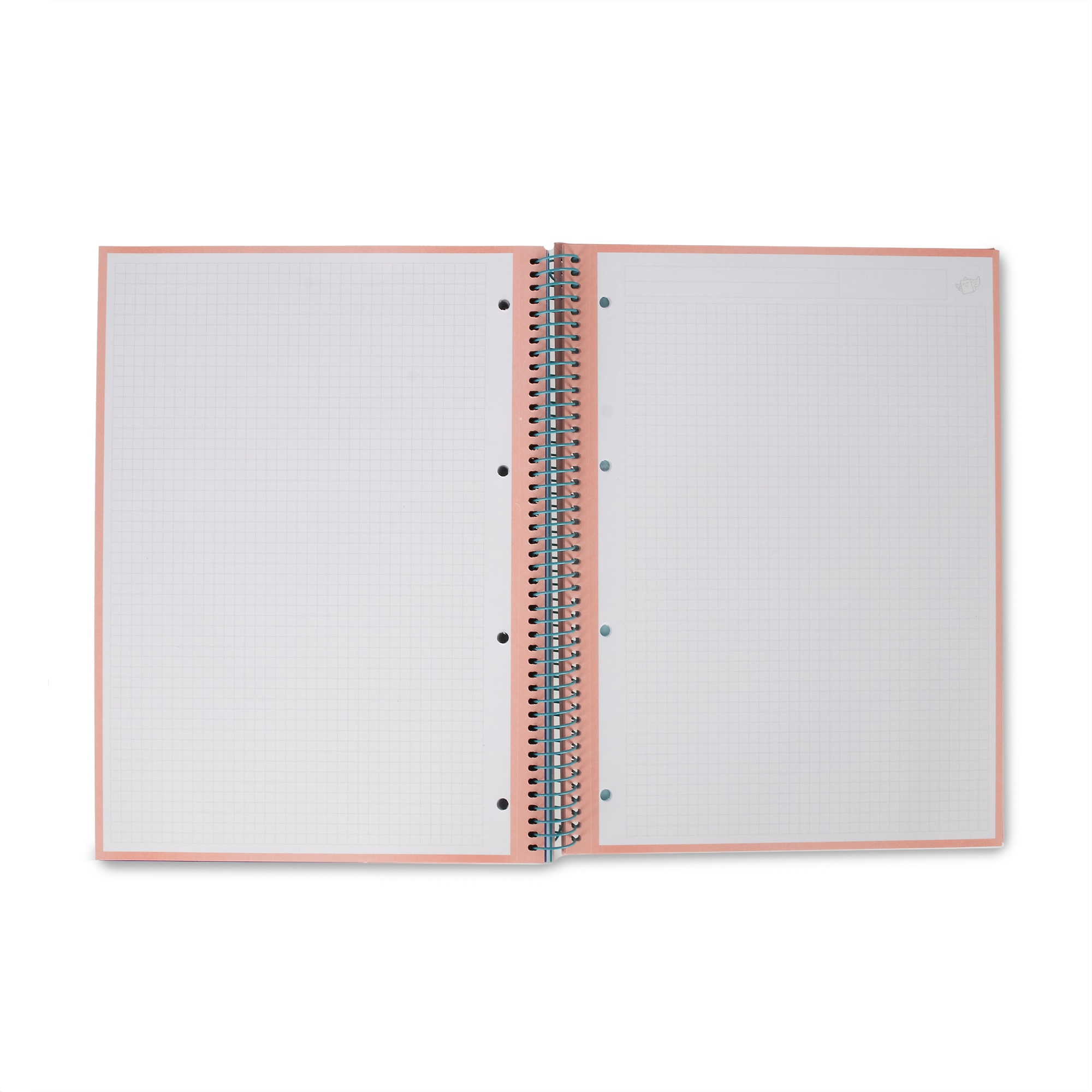 Libreta A4 turquesa espiral Mr Wonderful: WINGY 3