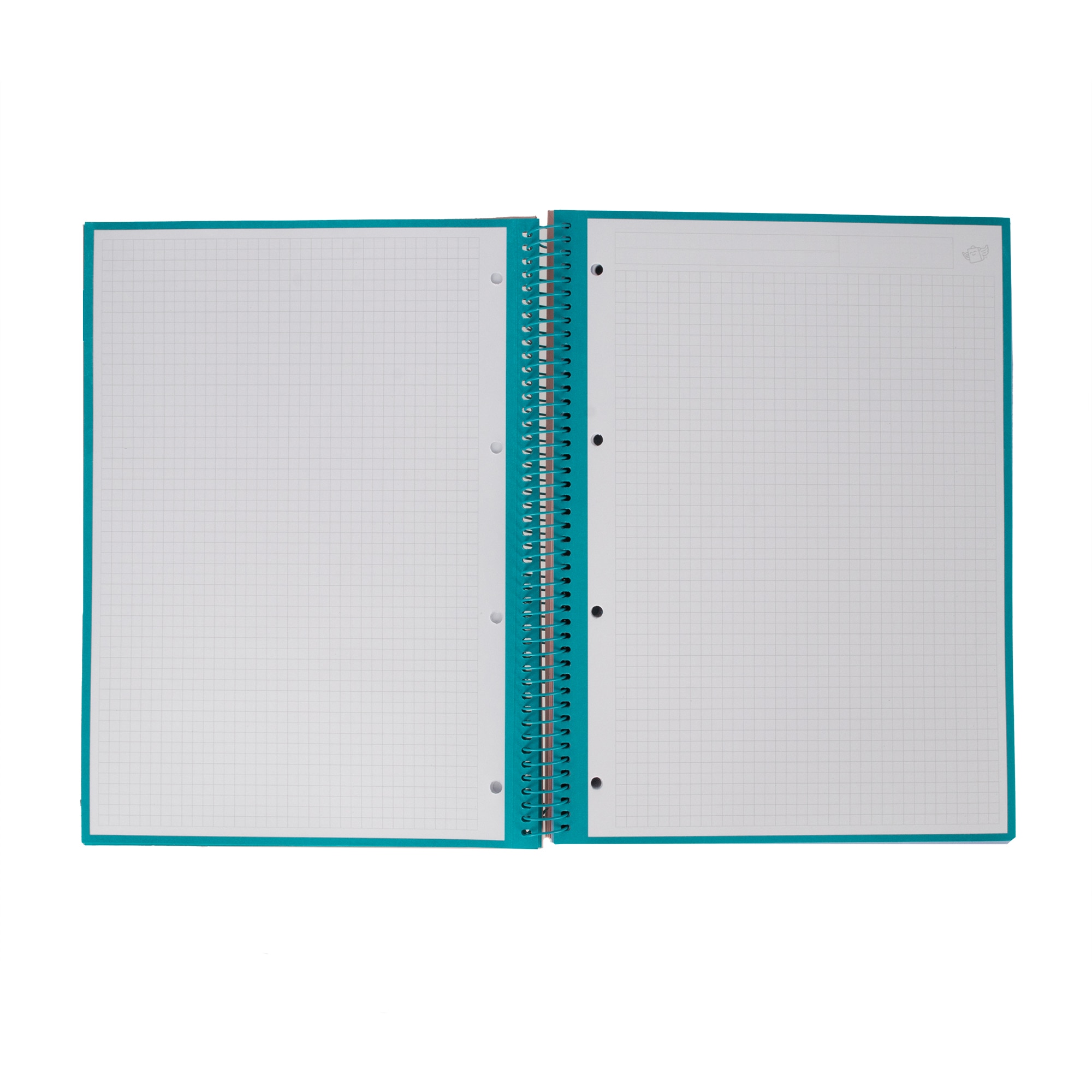 Libreta A4 turquesa espiral Mr Wonderful: WINGY 4