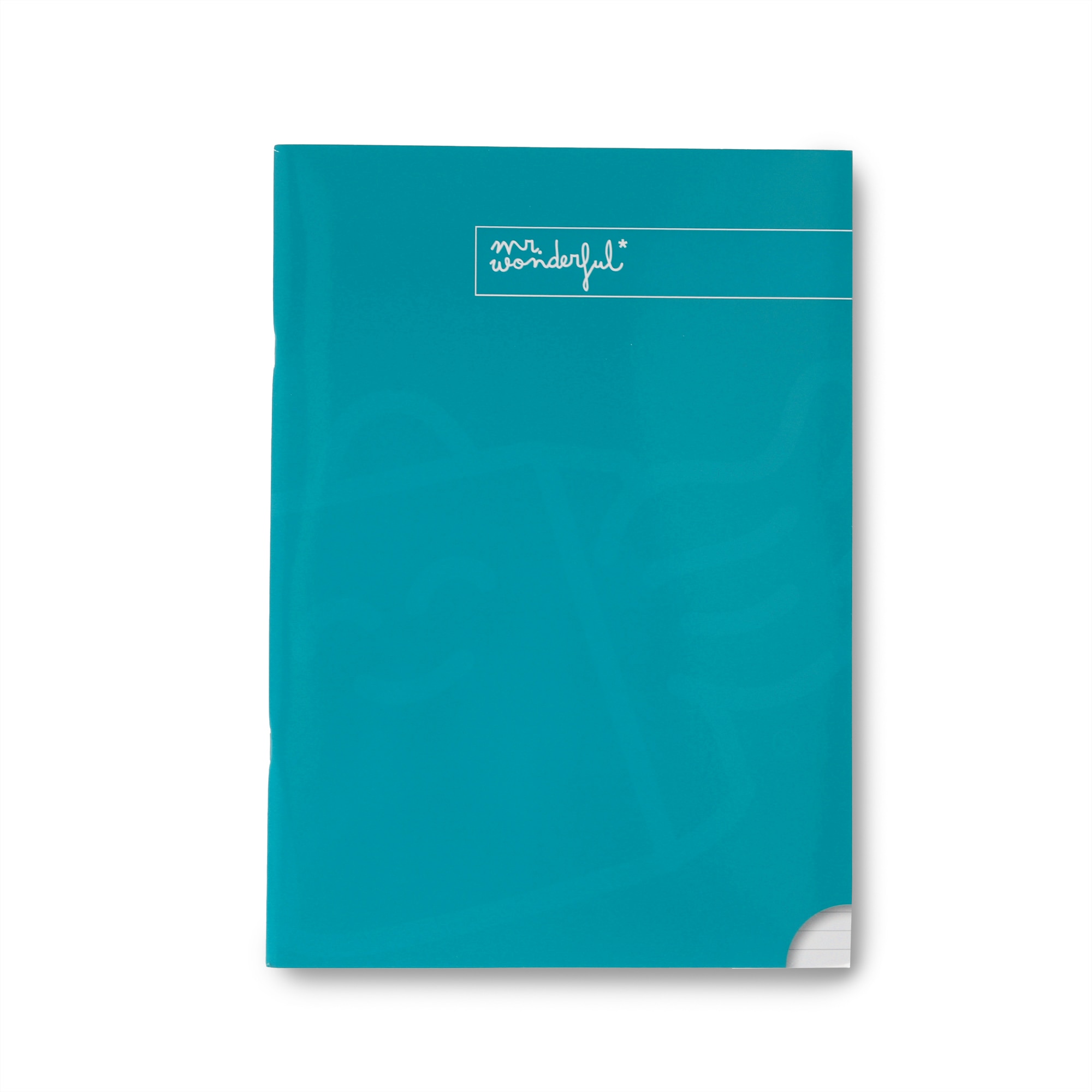 Imagen 0 de Libreta A4 turquesa grapada Mr Wonderful: WINGY