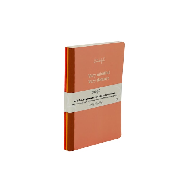 Imagem 0 de Conjunto de 3 cadernos 19x25 cm Mr Wonderful: Very mindful, very demure.