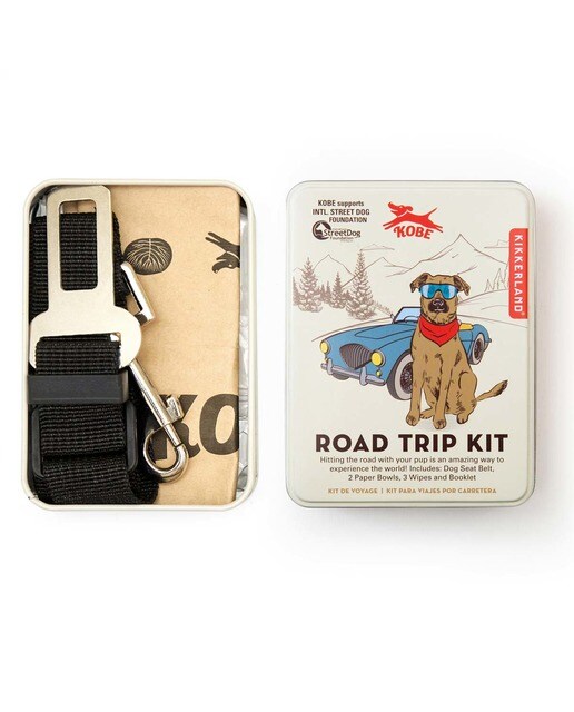 Conjunto de Viagem para Cão 3