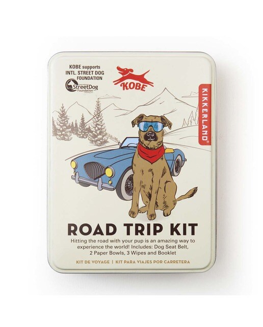 Conjunto de Viagem para Cão 4