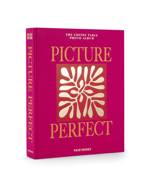 Imagem 0 de Álbum de Fotos Picture Perfect