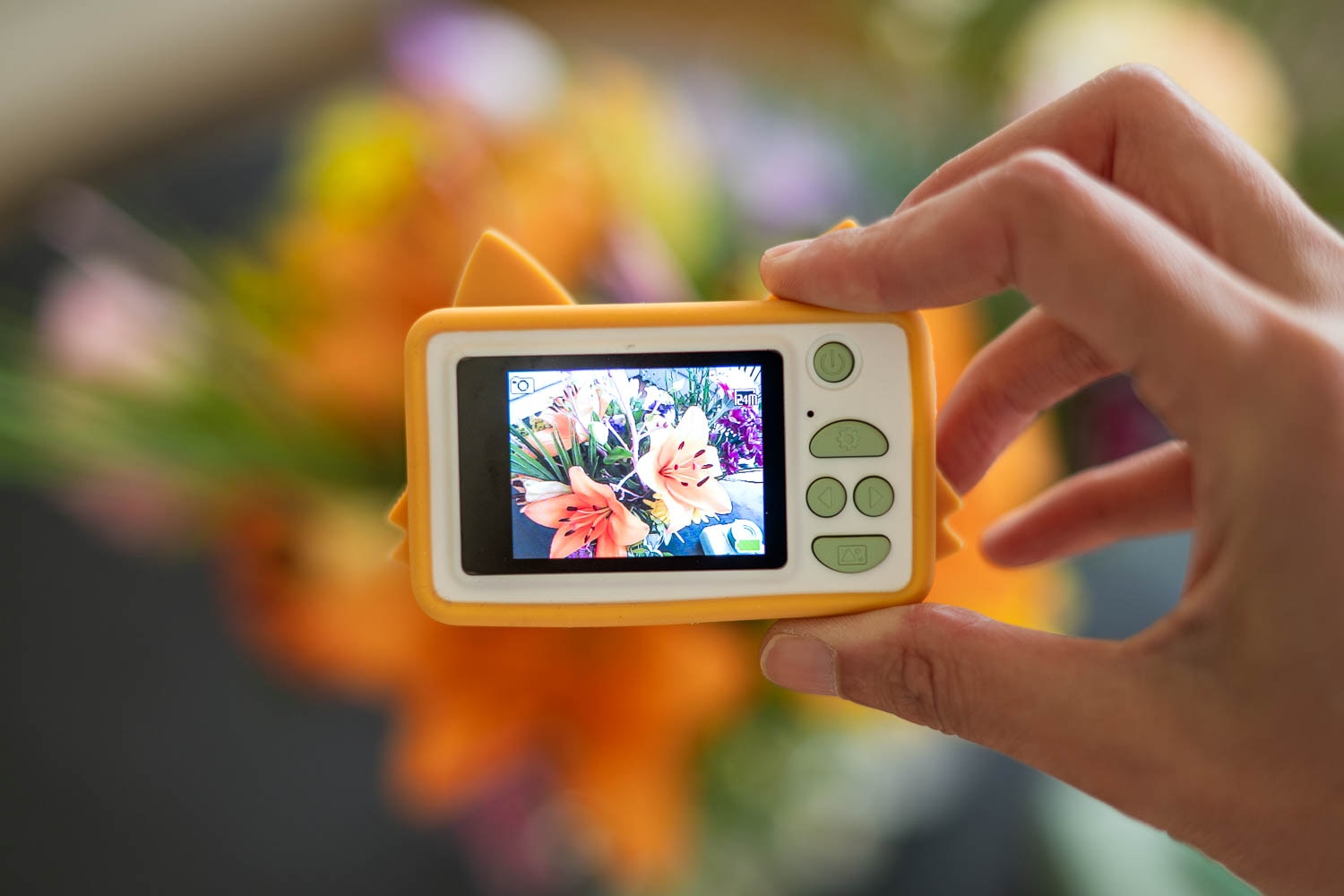 Câmara Zoo Friends Raposa para Crianças 12