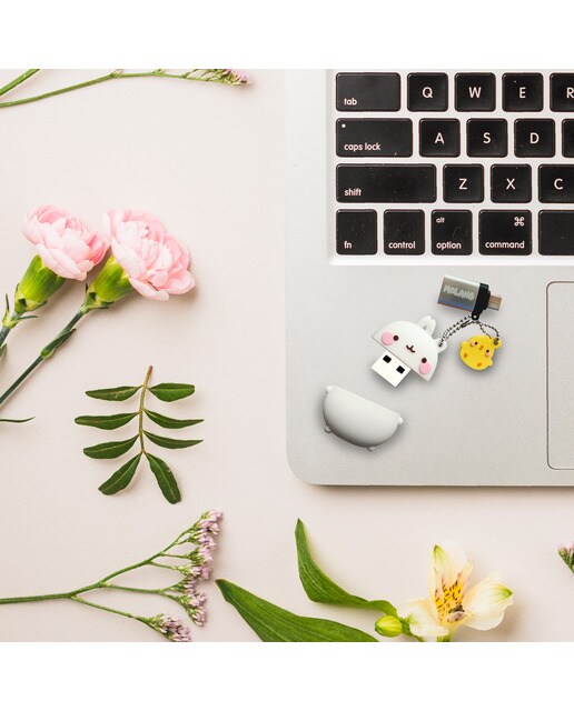 Pen Drive Molang 32gb 4