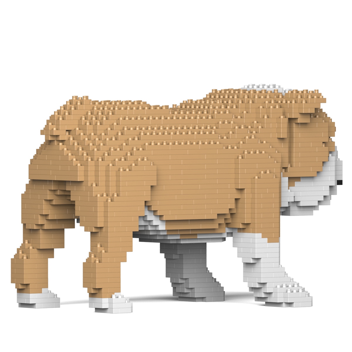 English Bulldog 01S-M03 Blocos de Construção 2