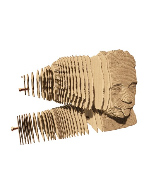 Maquetes de Cartão Cartonic Albert Einstein 4
