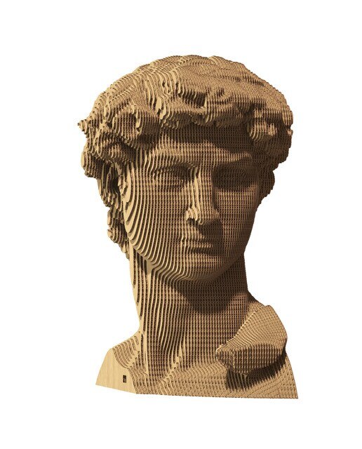 Maquetes de Cartão Cartonic David 1