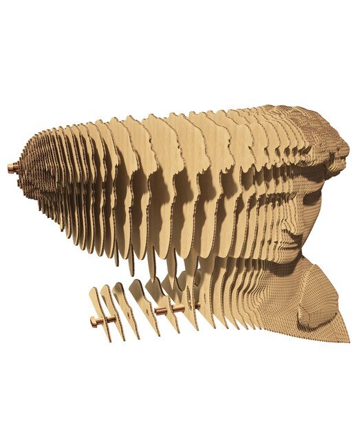 Maquetes de Cartão Cartonic David 2